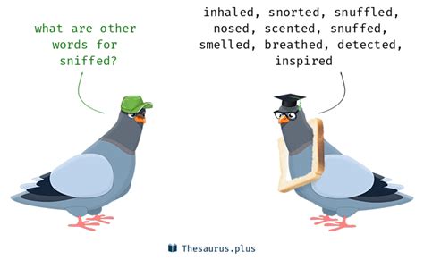 sniffidz|SNIFFED Synonyms: 14 Similar Words